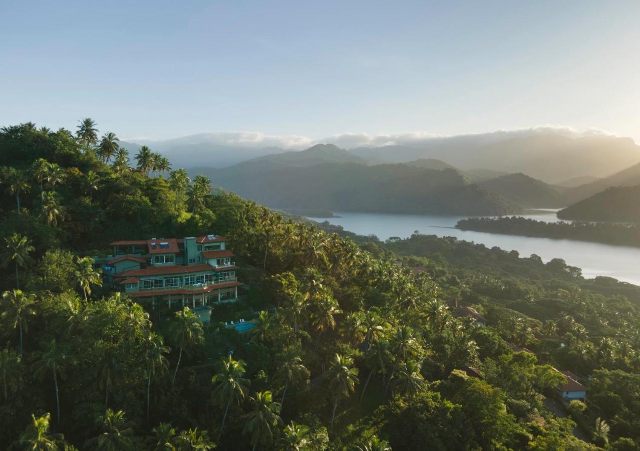 The Albatross, Kandy Digana Luaran gambar